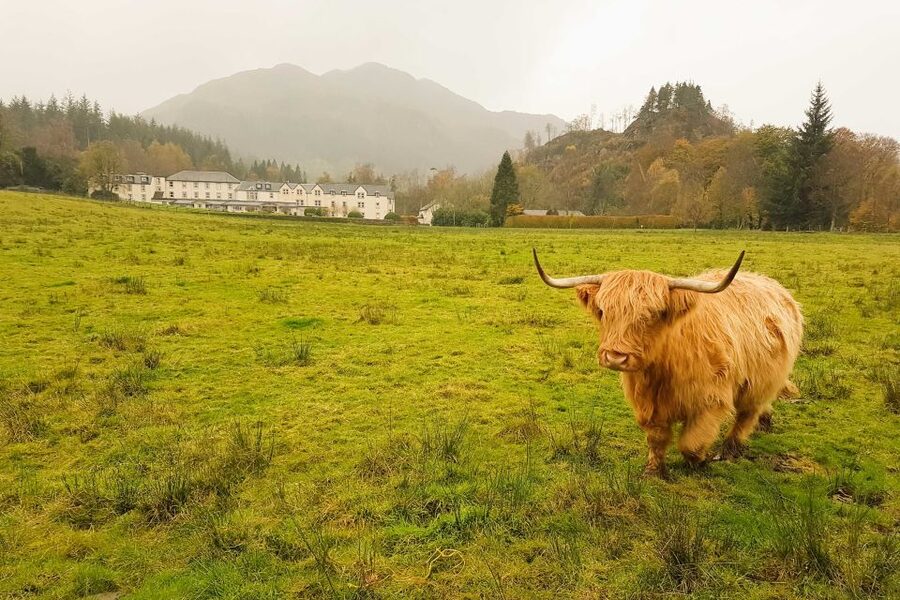 From Glasgow: Loch Lomond, Trossachs & Stirling Castle Tour - Lunch in Aberfoyle and coffee in Callander