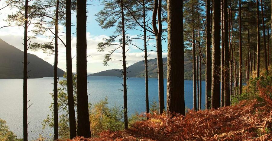 From Glasgow: Stirling Castle & Loch Lomond Tour with Cruise - Starting at Buchanan Bus Station in Glasgow