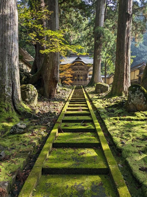 From Kanazawa: Eiheiji Buddhist Temple & Fukui Castle Town - Key points to know before you book