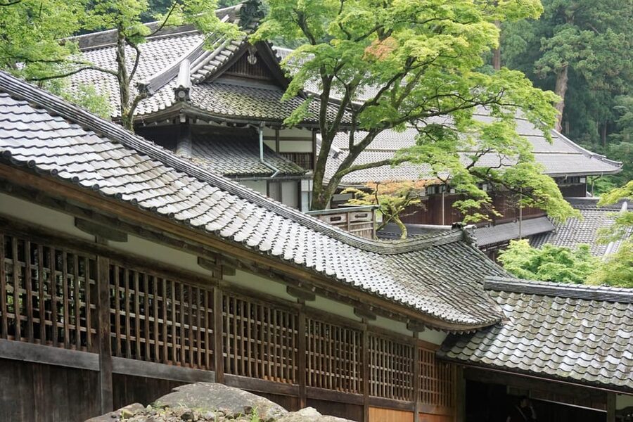 From Kanazawa: Eiheiji Buddhist Temple & Fukui Castle Town - Lunch is flexible, not included