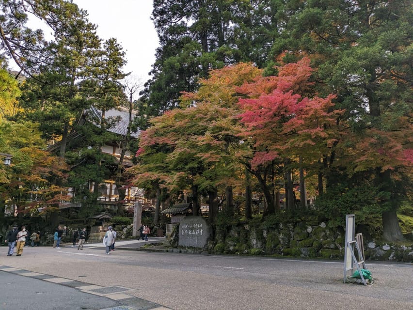 From Kanazawa: Eiheiji Buddhist Temple & Fukui Castle Town - Dinosaur Square gives Fukui an easygoing welcome