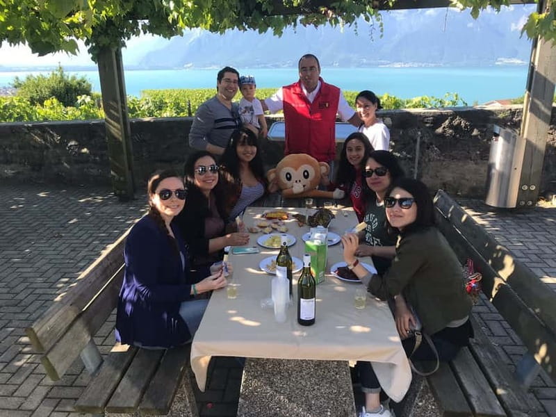 From Lausanne: Montreux, Chaplin, and Chillon Castle Tour - Lavaux vineyards: a short break with a big view