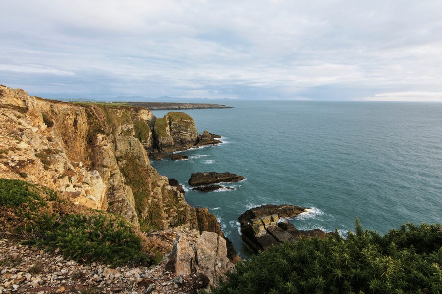 From Liverpool: North Wales and Caernarfon Castle Tour - Starting at World Museum in Liverpool