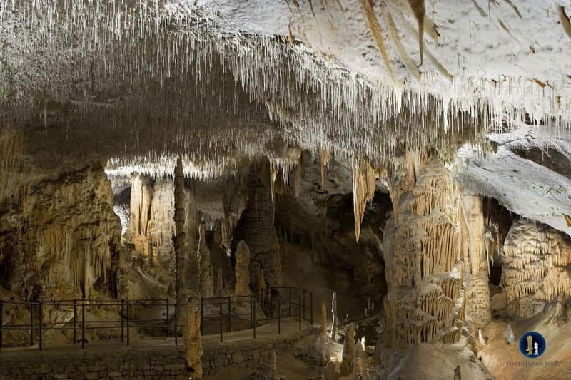 From Ljubljana: Postojna Cave, Predjama Castle, & Piran Tour - Predjama Castle in a cliffside setting