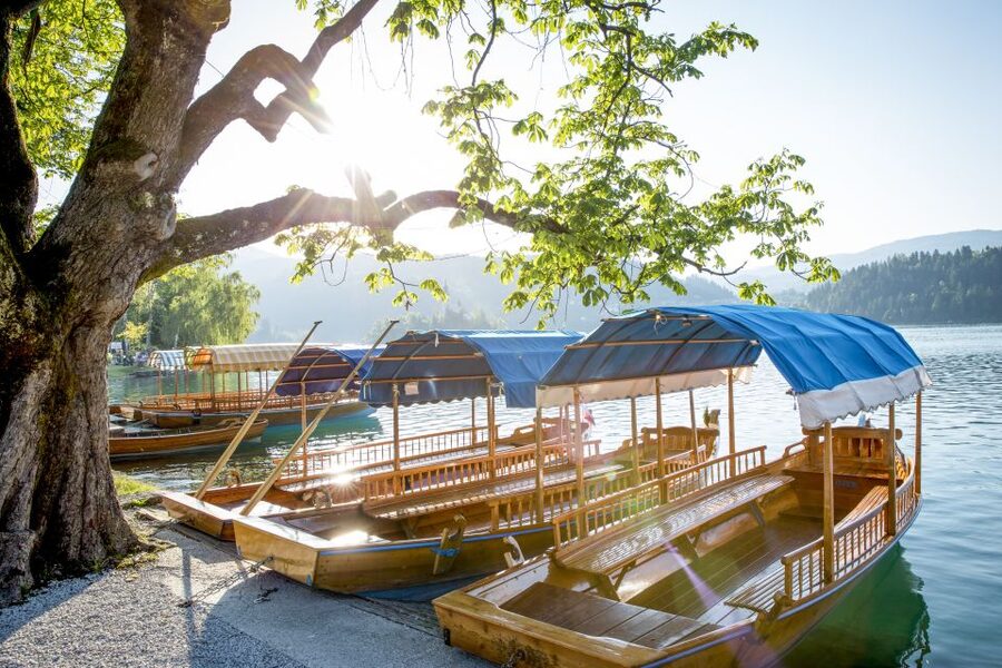 From Ljubljana: Trip to Lake Bled and Bled Castle - Choosing the right departure time