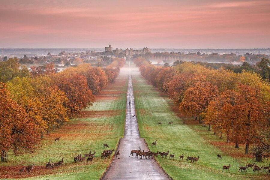 From London: Windsor Castle Royal Afternoon Sightseeing Tour - Is $93 good value?