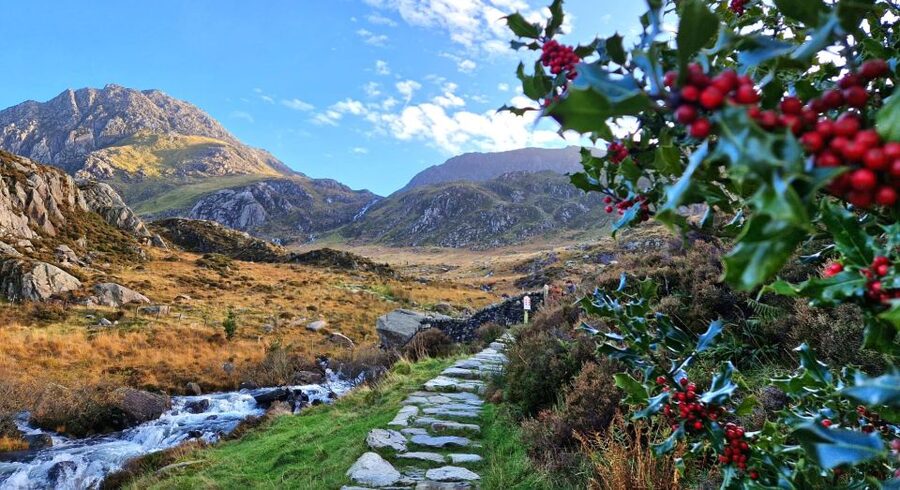 From Manchester: North Wales and Caernarfon Castle Day Trip - Who should book this day trip?