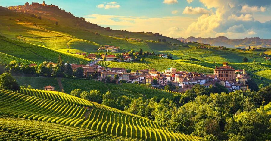 From Milan: Barolo Wine Tasting, Alba Tour and Castle Visit - The long ride to Langhe-Roero