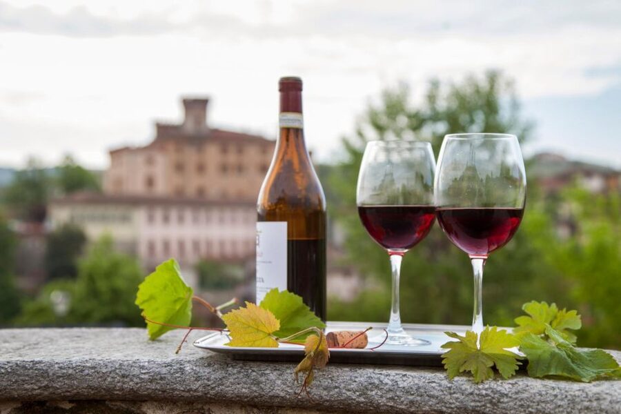 From Milan: Barolo Wine Tasting, Alba Tour and Castle Visit - Wine at a family-run Piedmont cellar
