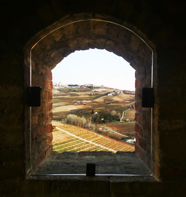 From Milan: Barolo Wine Tasting, Alba Tour and Castle Visit - Alba, the Piedmont town built around food