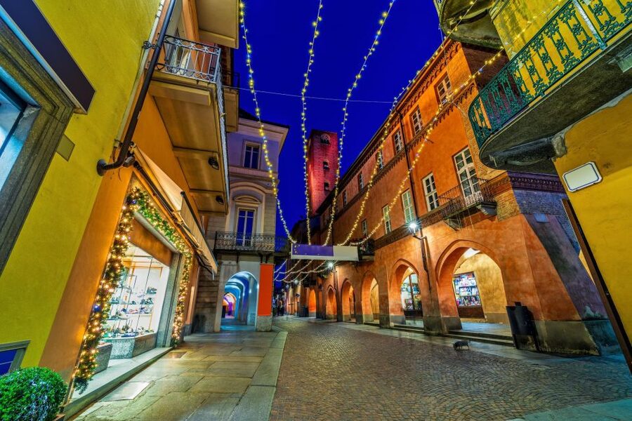 From Milan: Barolo Wine Tasting, Alba Tour and Castle Visit - What the $225.44 price really covers