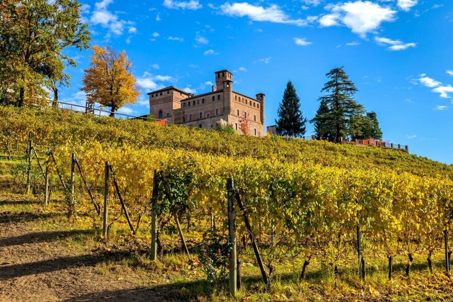 From Milan: Barolo Wine Tasting, Alba Tour and Castle Visit - Who will enjoy this day most