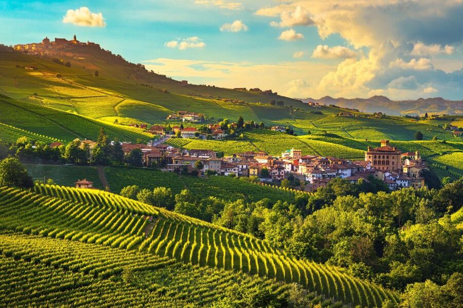 From Milan: Barolo Wine Tasting, Alba Tour and Castle Visit - Meeting the van in Milan