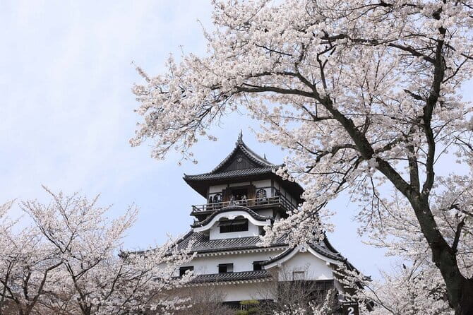 From Nagoya: Samurai Swords and Inuyama Castle Private Tour - Seki, where swordmaking became a local identity