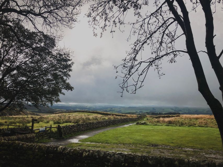 From Newcastle: Hadrian's Wall Day Tour - Five things to know before booking