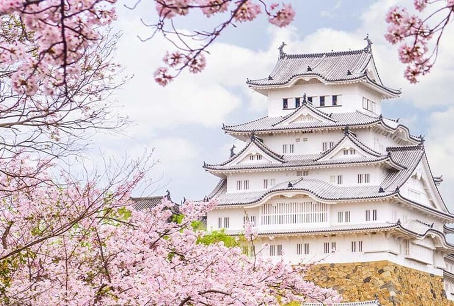 From Osaka: Himeji Castle, Arima Onsen & Mt. Rokko Day Tour - Why this $53 day tour can be good value