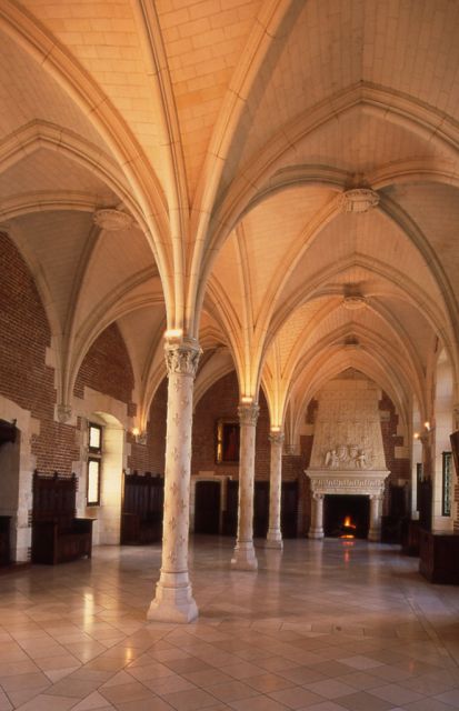 From Paris: Loire Valley Castles Full-Day Tour with Lunch - Transport, group size, and guide quality