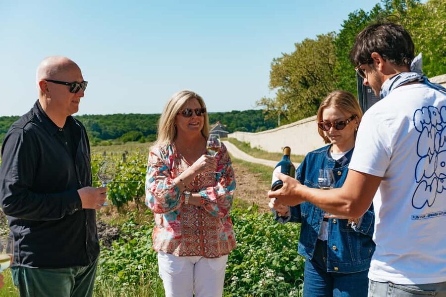 From Paris: Loire Valley Chambord Castle and Wine Tasting - Key points at a glance
