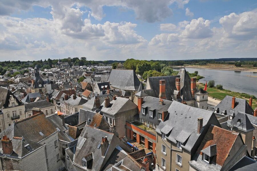 From Paris: Small-Group Loire Valley Castles Full-Day Tour - Amboise, da Vinci, lunch, and a quick wine stop
