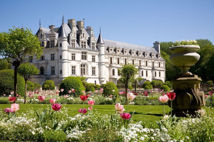 From Paris: Small-Group Loire Valley Castles Full-Day Tour - The guide matters more than the script