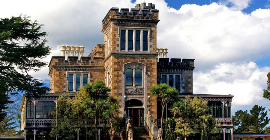 From Port Chalmers: Small Group Castle, Coast & City Tour - Crossing the Otago Peninsula