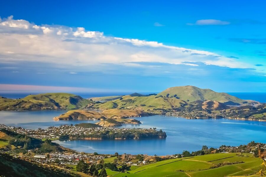 From Port Chalmers: Small Group Castle, Coast & City Tour - Entering Larnach Castle