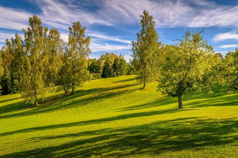 From Riga: Cēsis, Sigulda & Turaida Castle Tour - Lunch and the value of a private guide