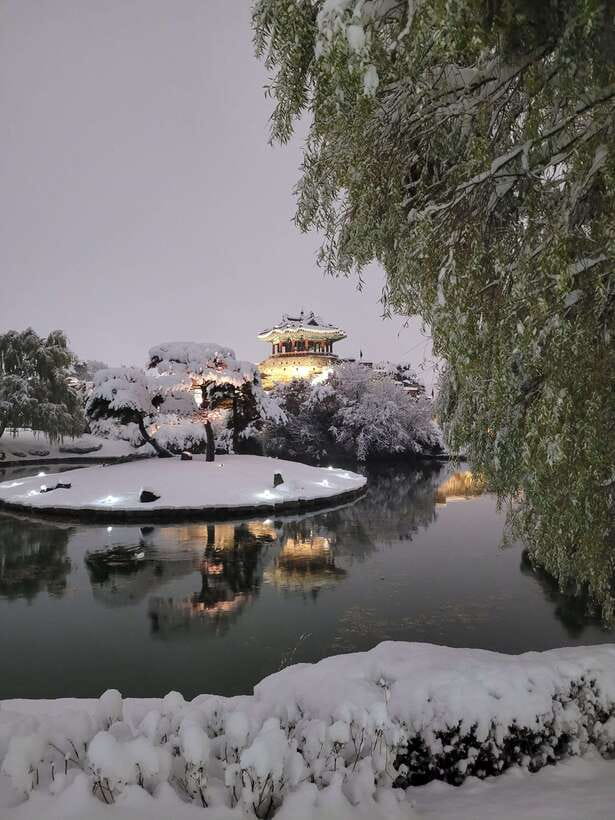 From Seoul: Suwon Hwaseong Fortress Night Tour - Why Suwon Hwaseong is worth the trip from Seoul