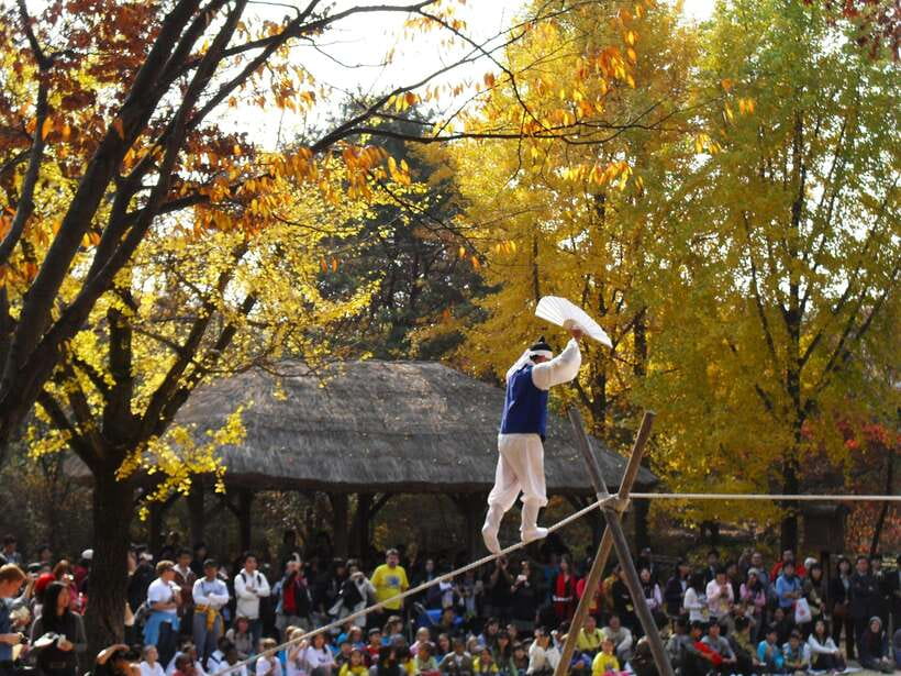 From Seoul: Suwon Hwaseong Fortress Tour - Timing, walking, and practical limits
