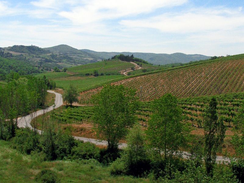 From Siena: Chianti and Castles Tour with Wine Tastings - Who Will Enjoy This Tour Most?