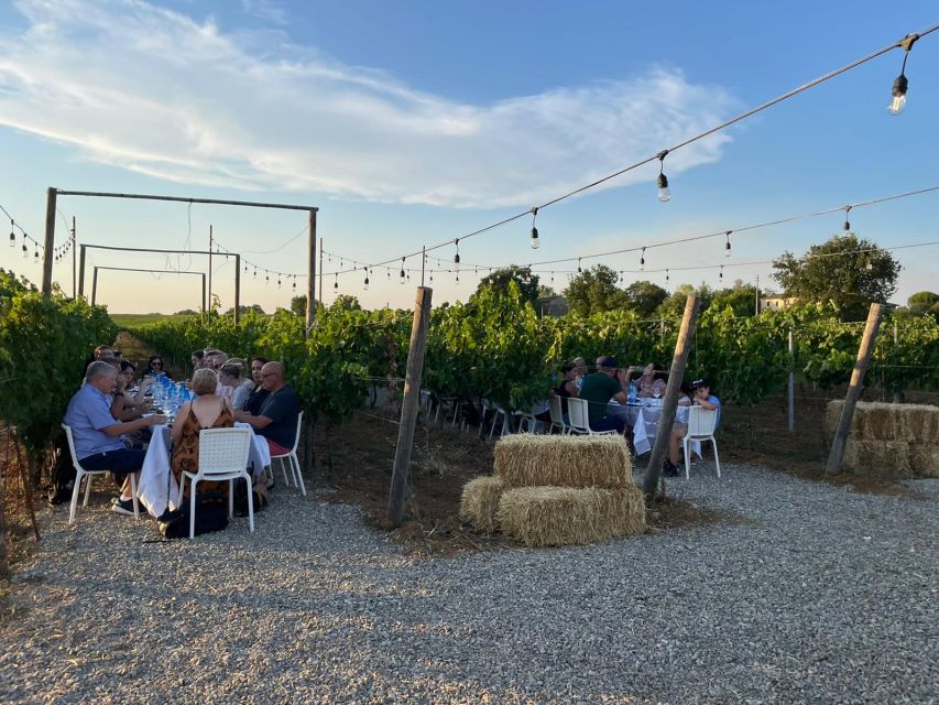 From Siena: Chianti and Castles Tour with Wine Tastings - Why This Half-Day Trip Works From Siena