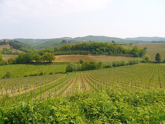 From Siena: Chianti and Castles Tour with Wine Tastings - The Guide Makes or Breaks the Schedule
