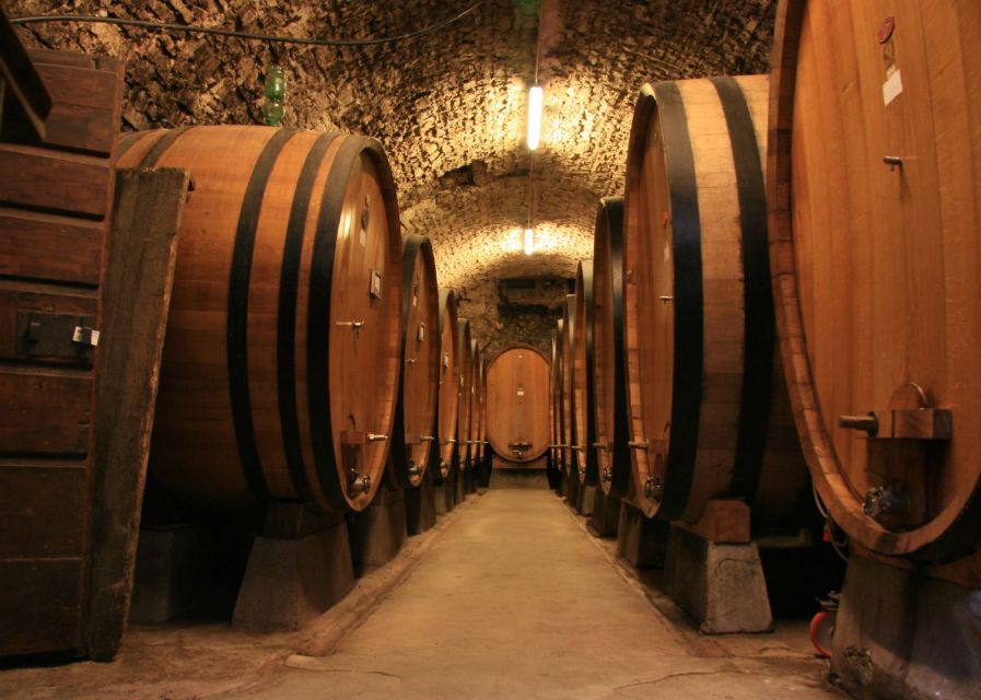 From Siena: Chianti and Castles Tour with Wine Tastings - Is $100 a Fair Price?