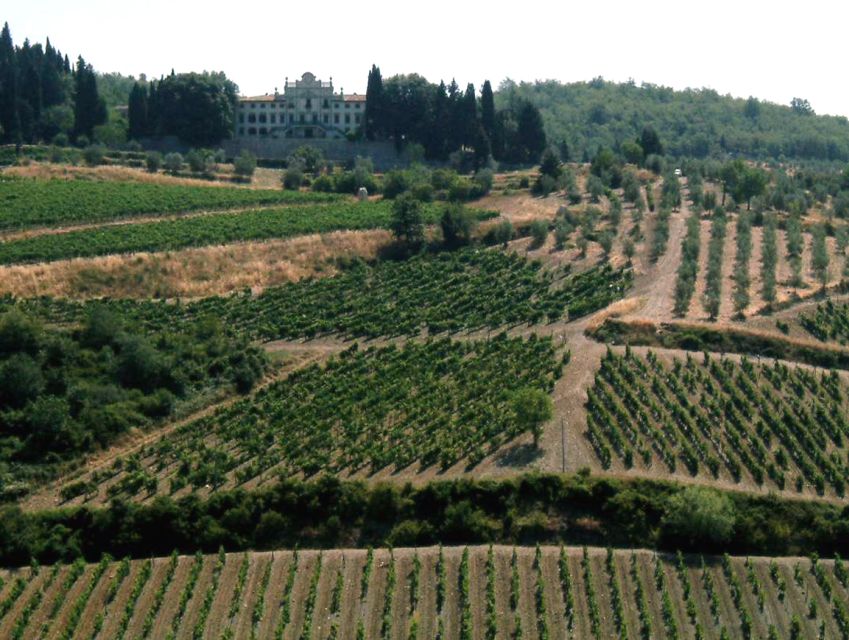 From Siena: Chianti and Castles Tour with Wine Tastings - Riding Through Chianti’s Vineyards and Hills