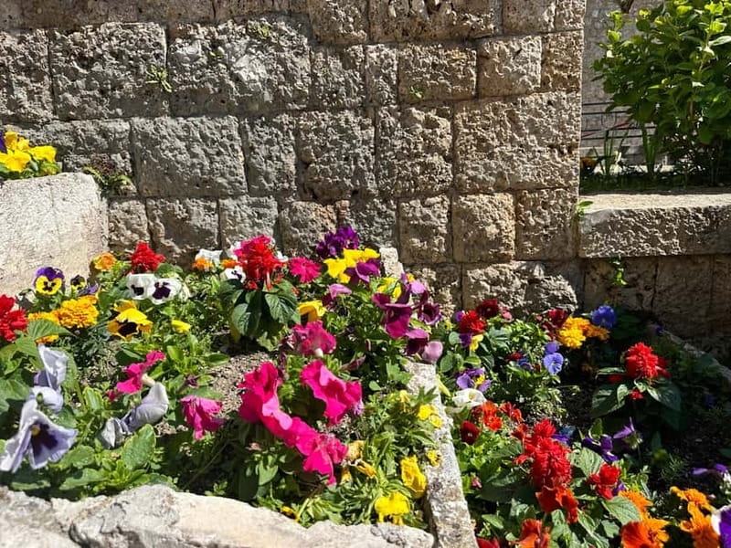 From Tirana: Kruja Castle, Old Bazaar & Sari Salltik View - Who Should Book This Kruja Tour?