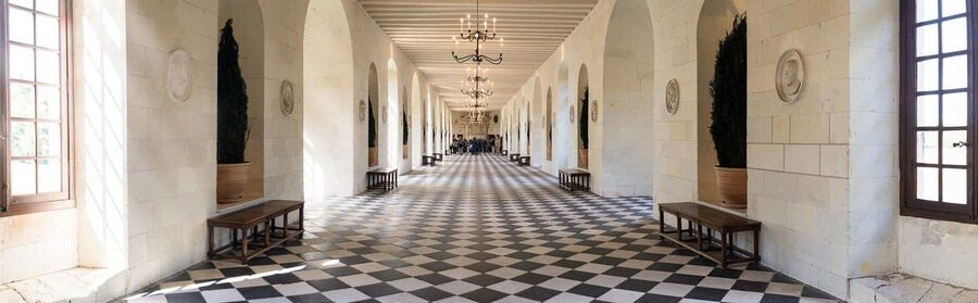 From Tours/Amboise: Chenonceau & Chambord Chateaux Day Trip - Who should book this day trip?