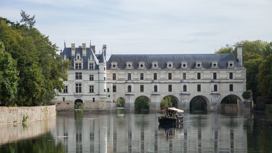 From Tours: Small Group Half Day Trip to Chenonceau Castle - Who will enjoy this tour most