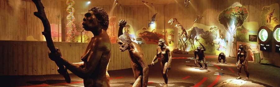 From Zagreb:Discover North Croatia, Museums, Castle and City - Krapina Neanderthal Museum starts the story