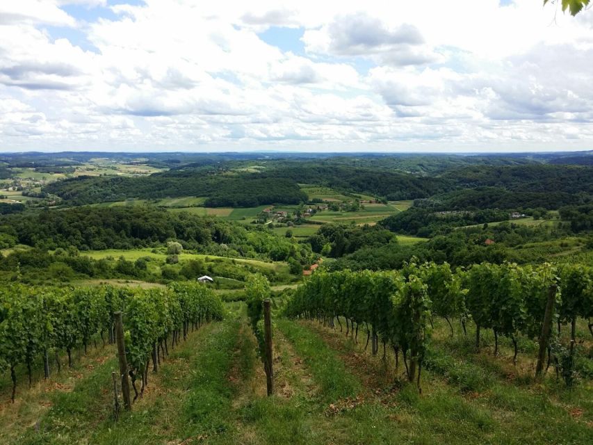 From Zagreb: Fairytale Castle & Wine Tasting & Lunch - Four wines at Vuglec Breg