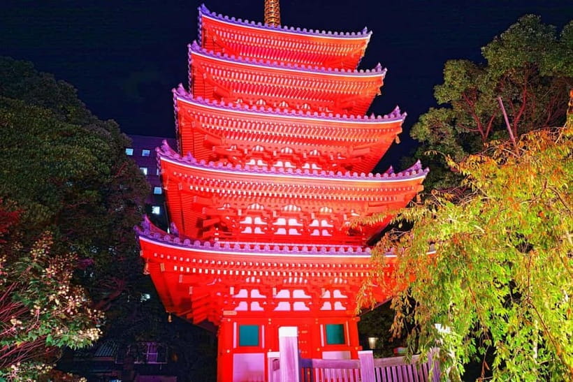 Fukuoka Cultural Walk: Castle, Shrines, Temples & Tales - The castle on the hill and wider city views