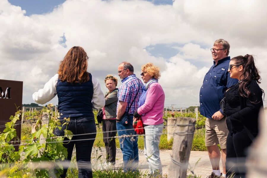 Full-Day Bordeaux gourmet tour & 2 chateau Medoc - One hour for lunch in Bordeaux