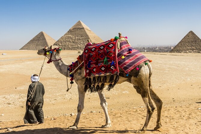 Full Day Private Tour in Giza Pyramids Citadel and Coptic Cairo - Three hours among the Pyramids of Giza