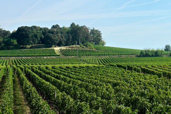 Full-day Saint-Emilion: Village, Undergrounds and Châteaux - The bilingual format and guide quality