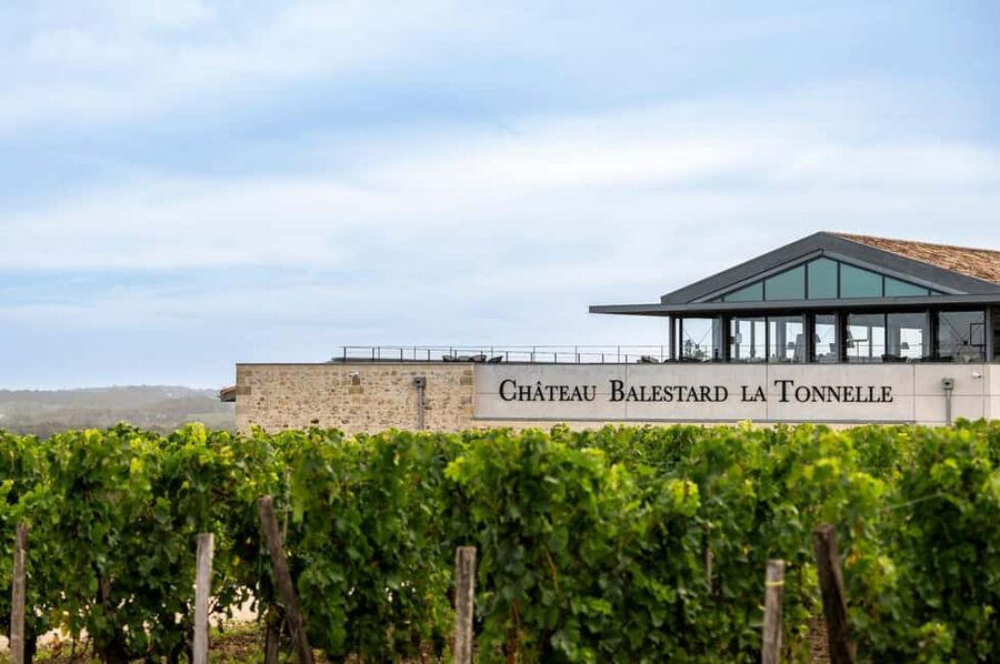 Full-day Saint-Emilion: Village, Undergrounds and Châteaux - Who will enjoy this day most