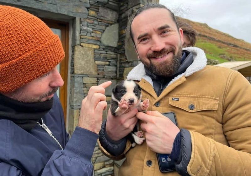Galway: Connemara, Sheepdog Show and Medieval Castle Tour - Why this Galway day trip works