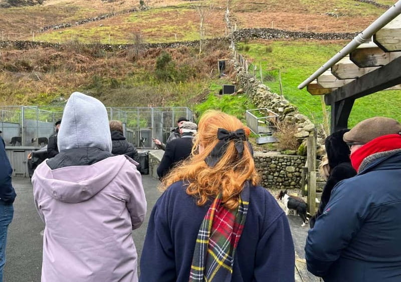 Galway: Connemara, Sheepdog Show and Medieval Castle Tour - Connemara’s mountains, lakes, and open country