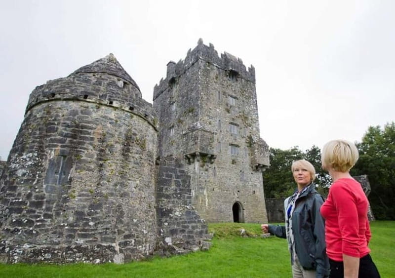 Galway: Connemara, Sheepdog Show and Medieval Castle Tour - The sheepdog show with Joe