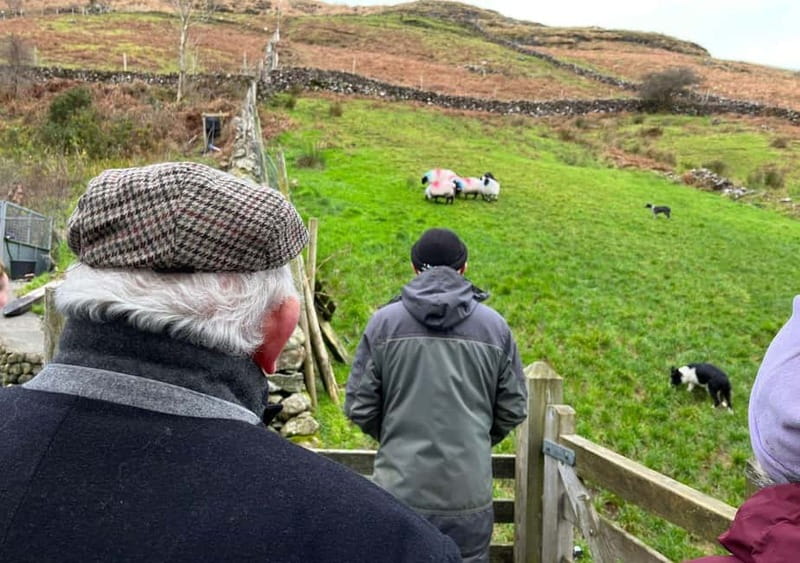 Galway: Connemara, Sheepdog Show and Medieval Castle Tour - Cong Abbey and a quieter end to the day