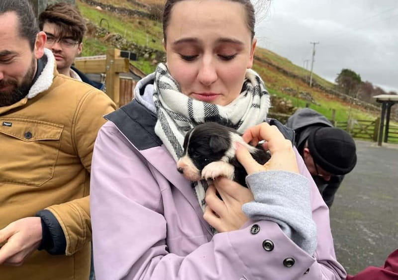 Galway: Connemara, Sheepdog Show and Medieval Castle Tour - What the small group and bus mean for comfort