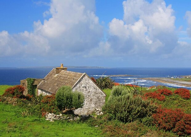 Galway to Cliffs of Moher, Aillwee Cave & Dunguaire Castle Tour - Key points to know before booking